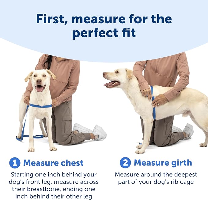 PetSafe Easy Walk Deluxe Dog Harness, No Pull Dog Harness – Perfect for Leash & Harness Training – Stops Pets from Pulling and Choking on Walks – Large, Apple - Image 7