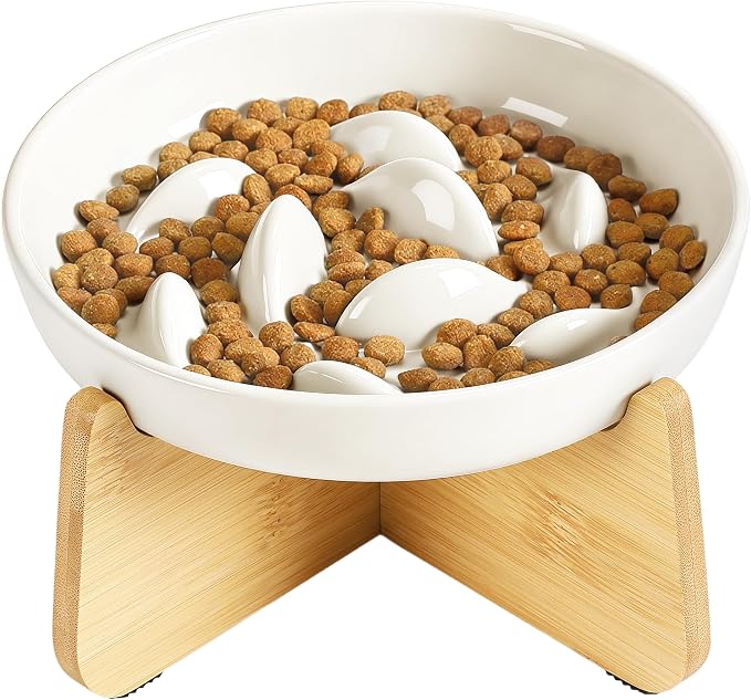PETTOM Slow Feeder Cat Bowl with Stand, Ceramic Slow Eating Cat Bowl with Higher Edges Fish Pool Design Elevated Food Bowls for Dry and Wet Food Anti-Vomiting Puzzle Feeder for Healthy Eating Diet by PETTOM