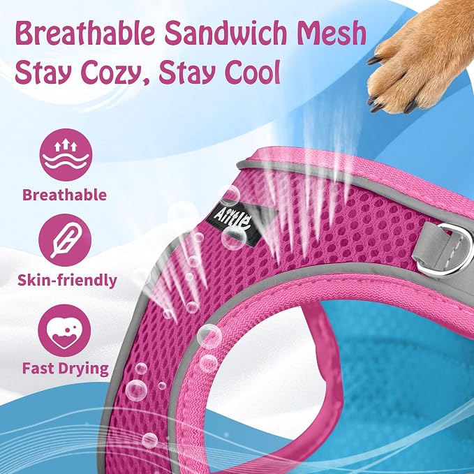 AIITLE Dog Harness and Leash Set, Step-in Puppy Pet Vest, Hot Pink M | Breathable Mesh, Adjustable Fit, Reflective Design, Padded Leash Handle, for Small-Medium Dogs & Cats, Walking, Training - Image 8