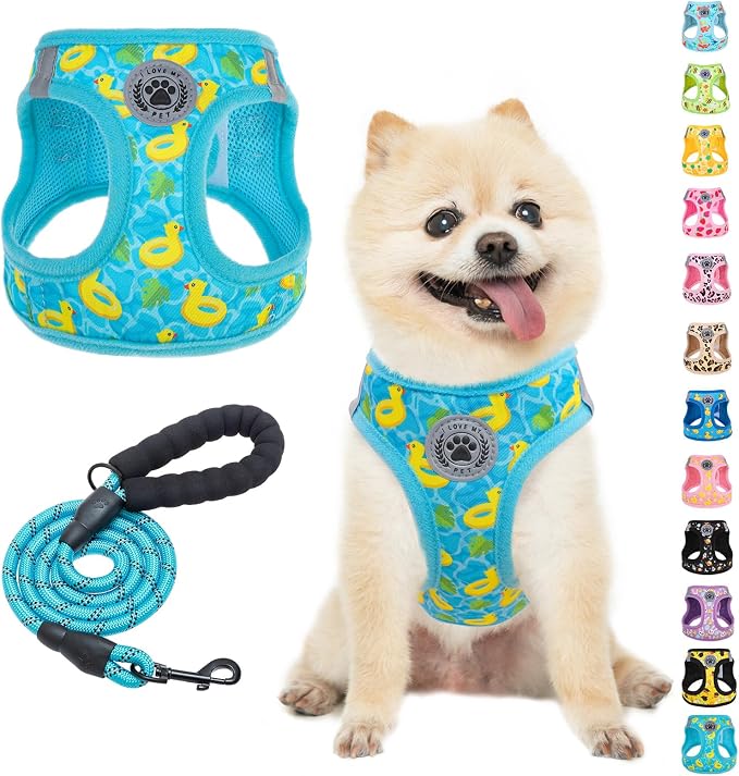 BEAUTYZOO Dog Harness Medium Sized and Leash Set,No Pull Pet Vest - Duck, M | Step-in Easy On/Off, All Season Breathable Mesh,Escape-Proof Hook & Loop,Lightweight Reflective,No Choke,Easy Walking Control by BEAUTYZOO