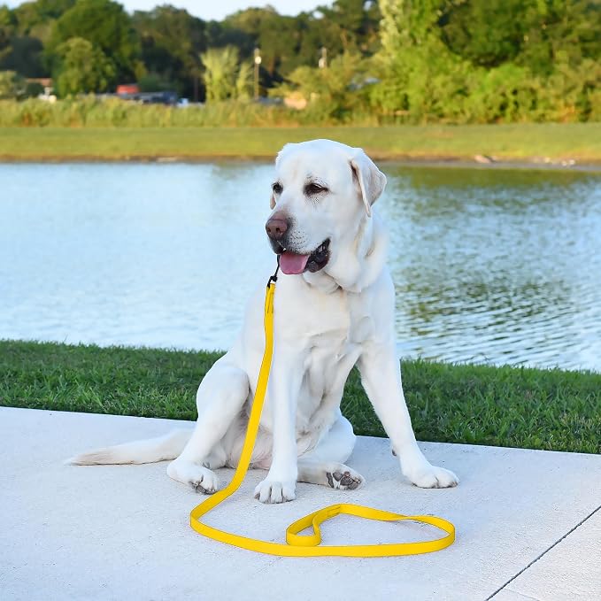 Dogline Biothane Waterproof Dog Leash Strong Coated Nylon Webbing with Black Hardware Odor-Proof Easy to Clean High Performance for Small or Large Dogs Made in USA 4 or 6 ft Lead, Lemon Yellow - Image 5