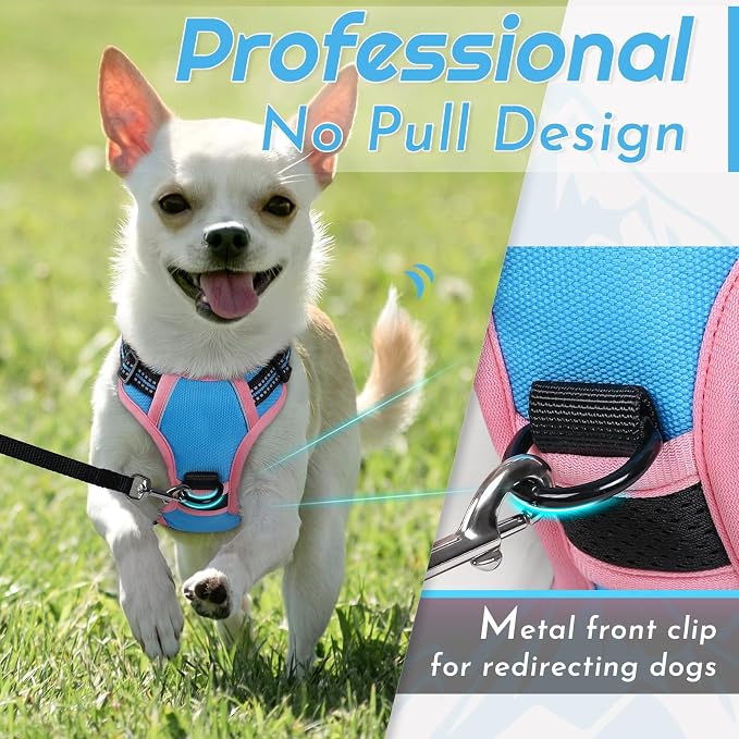 Eagloo Dog Harness for Small Dogs, No Pull Pet Vest with 2 Leash Clips | No Choke with Handle, Adjustable Comfort Fit, Reflective Strips, Easy Walking Control, Pink & Sky Blue, X-Small - Image 3