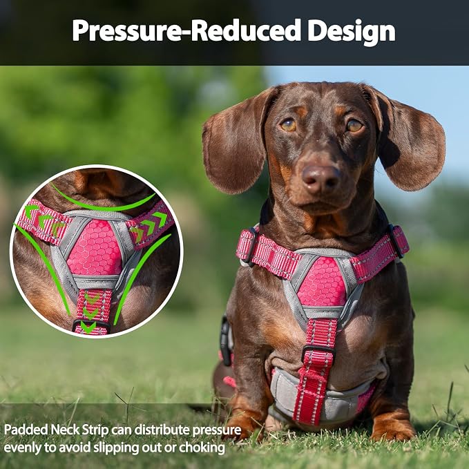 Escape Proof Dog Harness, Dachshund Harness, Reflective Dog Harness with Handle, Durable,Adjustable Vest for Small Medium Large Dogs Walking, Training, and Running Gear (Rose red,L) - Image 5