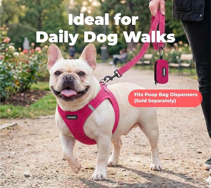 Best Pet Supplies Voyager Nylon Dog Leash - 6ft Fuchsia, Large | 6ft in Length, 1" in Width, Reflective, Soft Neoprene Handle, Heavy Duty Metal Clips for Running, Walking & Training - Image 3