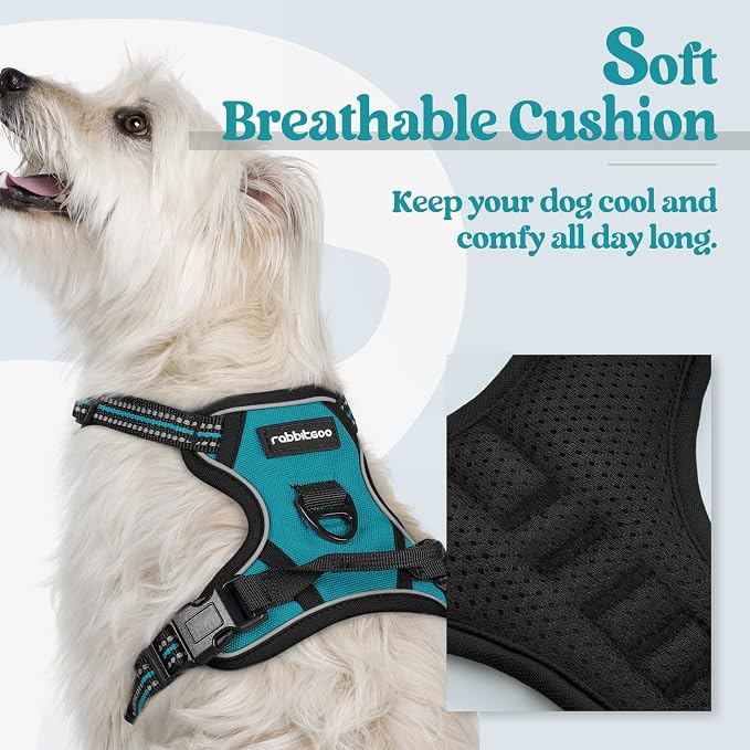 rabbitgoo Dog Harness No Pull with 2 Leash Clips, Adjustable Soft Padded, Reflective Oxford No Choke Pet Vest with Easy Control Handle for Puppy, Teal, XS | No Choke with Handle, Adjustable Soft Padded, Reflective, Easy Control for Walking, Teal, X-Small - Image 2