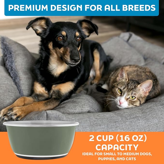Master Pet Supply Stainless Steel Dog Bowls Set of 2 - Camo Patrol - 16 Oz | Non-Slip Rubber Base, Basic Dog Food Bowl Water & Food Bowls for Small, Medium, Large Dogs & Cats Metal Dish - Image 7