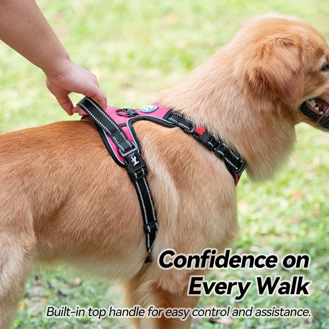 PoyPet No Pull Dog Harness Small with Front Clip & Neck Release Buckle | No Choke, Adjustable Vest, Reflective, Back Clip, Lockable, Soft Padded, Easy Control Handle for Walking Training, XS, Pink - Image 6
