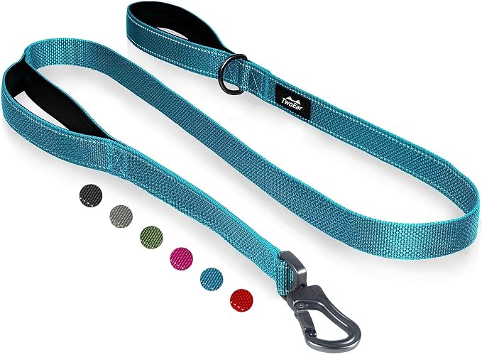 Twoear 4FT 1IN Heavy Duty Dog Leash for Large Dogs with 2 Padded Handles | Traffic Handle Extra Control, Auto Lock Hook, Strong Reflective Walking Leash for Night Safety, Medium and Large Breeds,Blue by TwoEar