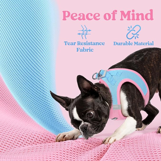 rabbitgoo Step-in Small Dog Harness, Puppy Vest for Medium Sized Pet | Easy Put on and off, Lightweight, Soft, Breathable Quick-Dry Air Mesh for Comfortable Secure Walking, Blue & Light Pink XXL - Image 4