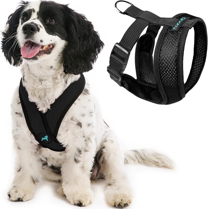 Gooby Comfort X Head-in Dog Harness, Choke-Free, Black, Medium | Patented choke-free X-frame; Secure head-in fit; Lightweight breathable mesh; Back metal D-ring; Machine washable by Gooby