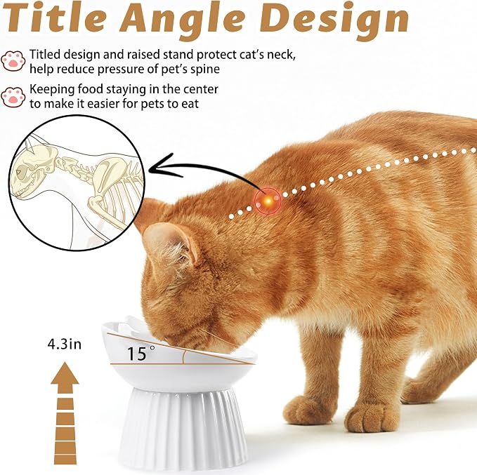 Ceramic Raised Cat Bowl，Tilted Raised Cat Bowl Anti Vomit Cat Bowls for Indoor Cats Whisker Friendly Pet Feeder for Cats Puppies, Microwave and Dishwasher Safe - Image 3
