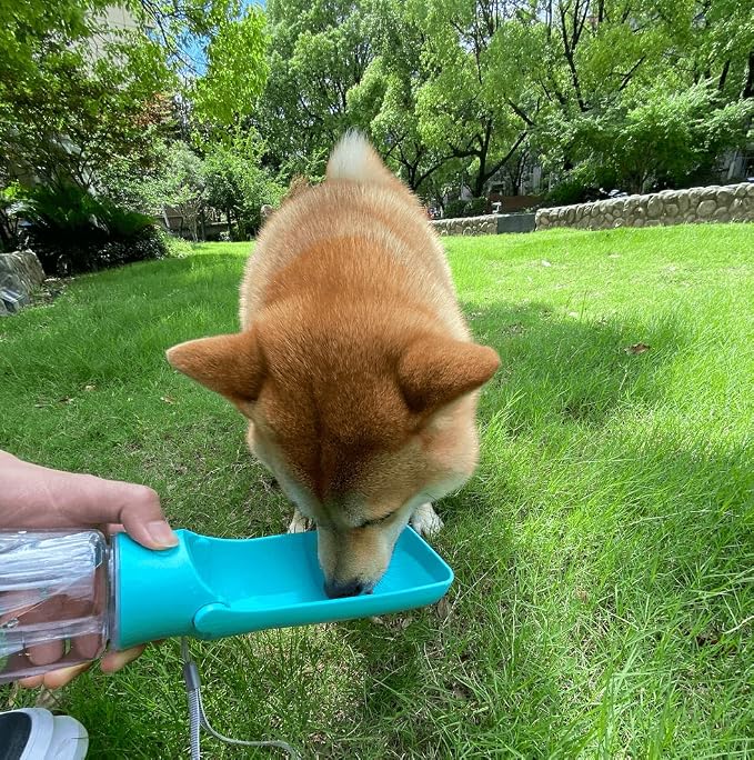 WePet Foldable Portable Dog Water Bottle Puppy Water Dispenser with Drinking Feeder, 19 OZ, High-Temperature Resistant Leak Proof for Pets Outdoor Walking, Hiking, Travel, Food Grade Plastic BPA Free - Image 7