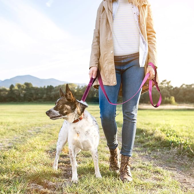 Twoear 6FT 1IN Heavy Duty Dog Leash for Large Dogs with 2 Padded Handles | Traffic Handle Extra Control, Auto Lock Hook, Strong Reflective Walking Leash for Night Safety, Medium and Large Breeds,Rose - Image 7