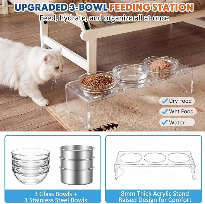 Elevated Acrylic Dogs Bowl Stand, 3.75" Tall Raised Cat & Dog Bowls with 3 Stainless & 3 Glass, Non-Slip, Easy to Clean, Raised Dog Bowls for Small Dogs, Cats, Pets, Puppy - Image 3