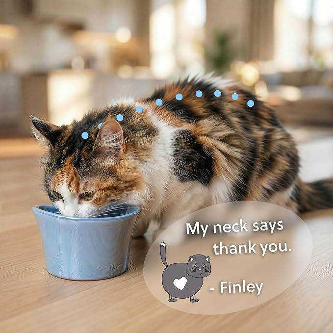 Elevated Cat Bowls for Water – Whisker & Neck Fatigue Shallow Cat Dishes – Raised Bowl for Indoor Cats – Vet-Recommended Height, Food-Grade Melamine – Non-Slip & Dishwasher-Safe – 8 oz White - Image 3