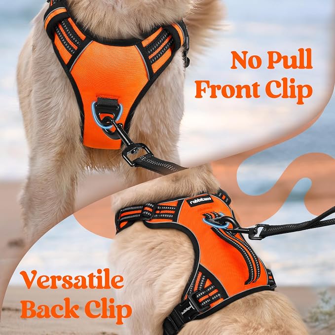 rabbitgoo Large Dog Harness, Easy Wear with 3 Buckles and Lift Handle | No Pull with Front Clip for Walking, Adjustable Soft Padded, Reflective, Easy Control, Orange, Medium - Image 6