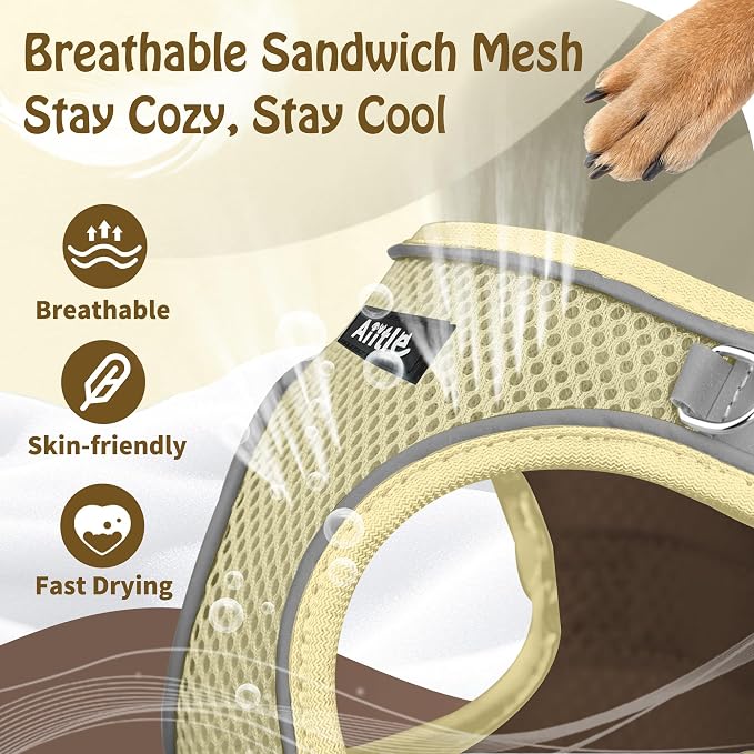 AIITLE Medium Dog Harness and Leash Set, Step-in Puppy Pet Vest, Beige L | Light, Soft, Breathable Air Mesh, Escape-Proof, Easy on and Remove with Hook & Loop, Secure Reflective for Walking - Image 8