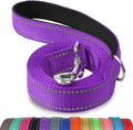 Joytale Reflective Dog Leash for Medium & Large Dogs, 4 FT x 1", Purple | Heavy Duty Nylon Webbing, Padded Handle for Comfort, Visible at Night, for Walking & Training by Joytale