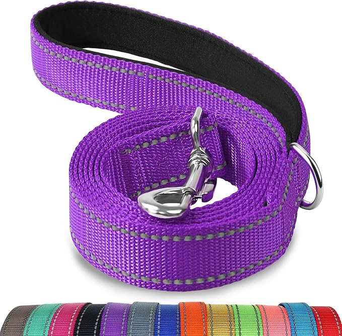 Joytale Reflective Dog Leash for Medium & Large Dogs, 4 FT x 1", Purple | Heavy Duty Nylon Webbing, Padded Handle for Comfort, Visible at Night, for Walking & Training by Joytale