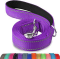 Joytale Reflective Dog Leash for Small Dogs, 5 FT x 3/4", Purple | Heavy Duty Nylon Webbing, Padded Handle for Comfort, Visible at Night, for Walking & Training by Joytale