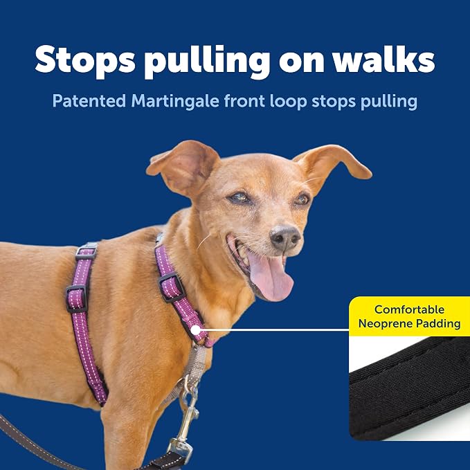 PetSafe 3 in 1 Dog Harness - No Pull Solution for Dogs - Reflective Dog Harness - Front D-Ring Clip Helps Stop Pulling - Comfortable Padded Straps - Top Handle Enhances Control - Plum - Extra Small - Image 3
