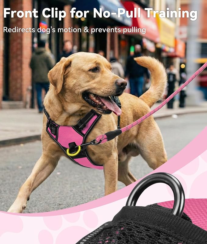 Joytale No Pull Dog Harness for Small Dogs, Front Clip, Hot Pink | Grab Handle for Instant Control, Padded & Adjustable Vest, Sturdy Metal D-Rings, for Safe Training & Daily Walking - Image 2
