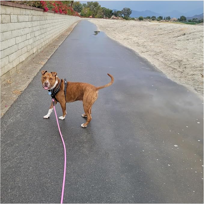 MayPaw 8ft Long Rope Dog Leash for Large Medium Dogs Soft Handle Dog Lead | 1/2-In Thick Lead, 3/6/8/10/12/15/20FT Soft Padded Handle Strong Nylon Pet Leash, 14+ Colors (1/2" * 8', Pink-Blue dot) - Image 8