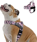 Dog Friendly Co. Dog Harness for Large Dogs (Pink Camo, Large) | One Click Buckle, Chafe Resistant Webbing, Adjustable Neck & Chest, and Heavy Duty D-Ring, Sturdy Comfortable and Easy to Use by DogFriendly