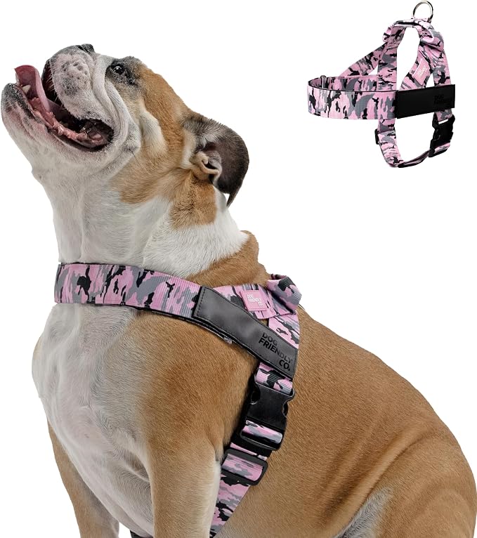 Dog Friendly Co. Dog Harness for Large Dogs (Pink Camo, Large) | One Click Buckle, Chafe Resistant Webbing, Adjustable Neck & Chest, and Heavy Duty D-Ring, Sturdy Comfortable and Easy to Use by DogFriendly