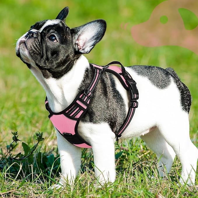 Eagloo Dog Harness for Small Dogs, No Pull Pet Vest with 2 Leash Clips | No Choke with Handle, Adjustable Comfort Fit, Reflective Strips, Easy Walking Control, Pink, Small - Image 9