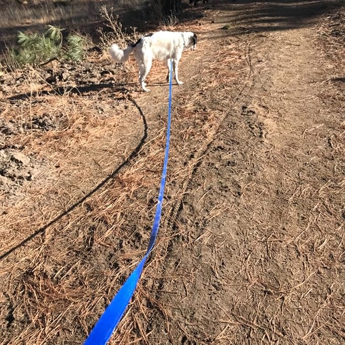 Waterproof Long Leash Durable Dog Recall Training Lead Great for Outdoor Hiking, Training, Yard, Beach and Swimming (Blue, 10ft) - Image 6