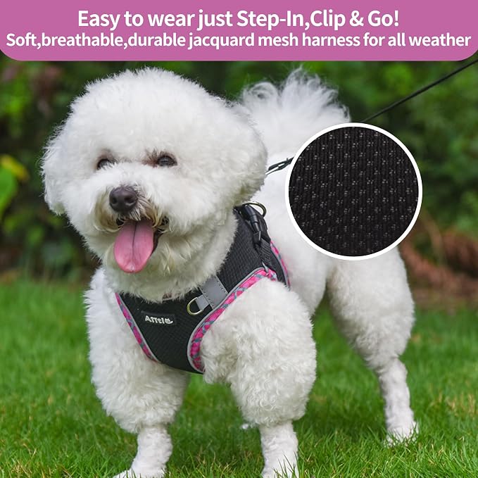 Tiny Dog Harness and Leash Set, Step-in Vest for Puppy, Black XXXS | No Pull Puppy Pet Vest, Breathable Mesh, Reflective Design with High-Stick Magic Tape, Outdoor Use for Chihuahua, Maltese - Image 9
