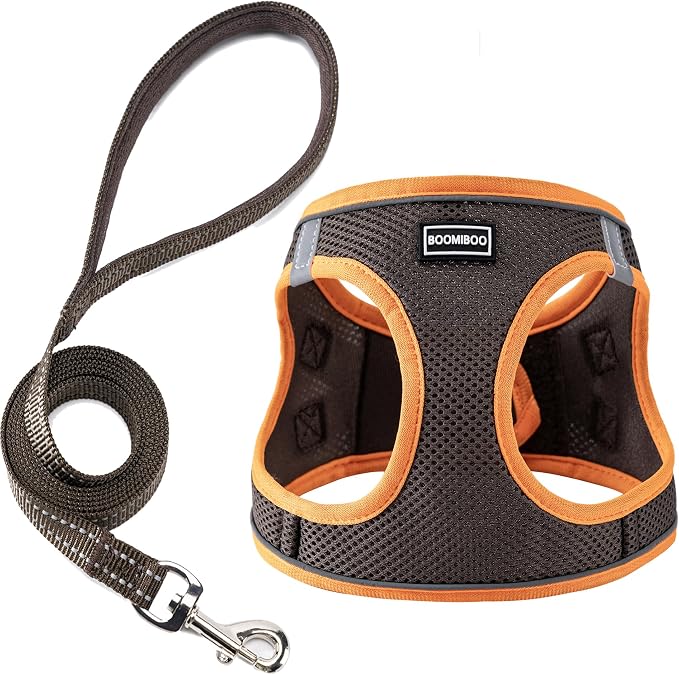 Dog Harness with Leash Set, Step-in Adjustable Puppy Pet Vest, Brown S | Lightweight Breathable Air Mesh, Night Safety Reflective, No Pull Puppy Vest Harnesses for Small Medium Large Dogs, Cats by BOOMIBOO