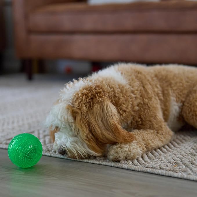 SPOT Dura-Brite Treat Ball - Treat Dispensing Dog Toy Made with Durable TPR Rubber, Interactive Slow Feeder Puzzle Ball, Prevents Boredom and Makes Mealtime Fun - 3in, Assorted Colors - Image 12