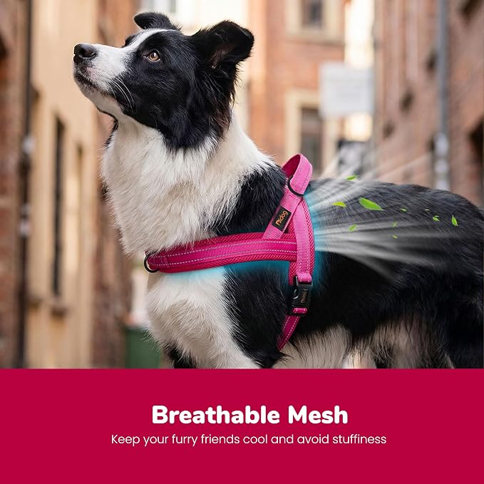 No Pull Dog Harness for Medium Dogs, Breathable Mesh, Hot Pink, M | Quick Fit, Easy On and Off, Lightweight, Reflective Vest Harness for Night Safty, Easy for Walking and Training, Chest 21-26" - Image 2