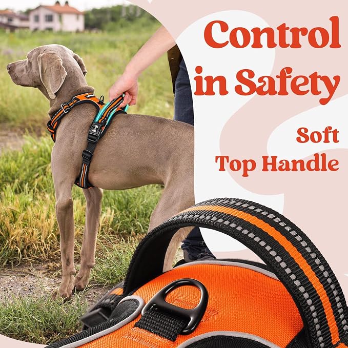 rabbitgoo Dog Harness for Large, Updated Easy On & Off with 3 Buckles | No Pull No Choke, Walking with 2 Clips and Handle, Adjustable Soft Reflective, Orange, Large - Image 4