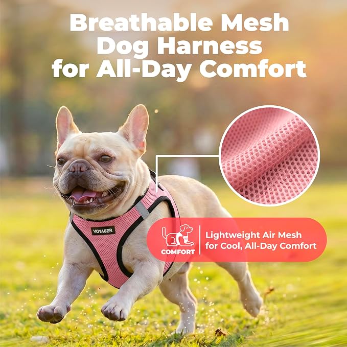 Voyager Step-in Air Dog Vest Harness - Pink/Black Trim, Large | 18- 20.5" in Chest, Reflective Bands, All Weather Breathable Air Mesh, Cats Compatible, Lightweight, Fast Drying - Image 5