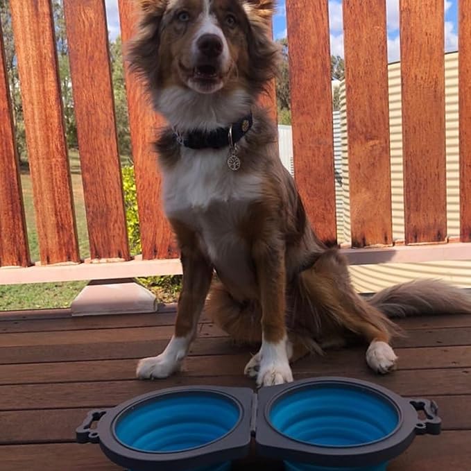 Loving Pets Bella Roma Double Diner Collapsible Dog Bowls - Silicone Dog Bowls, Foldable Bowl, Puppy Essentials & Hiking Pet Supplies Great for Home & Travel (Blue, Small) - Image 7