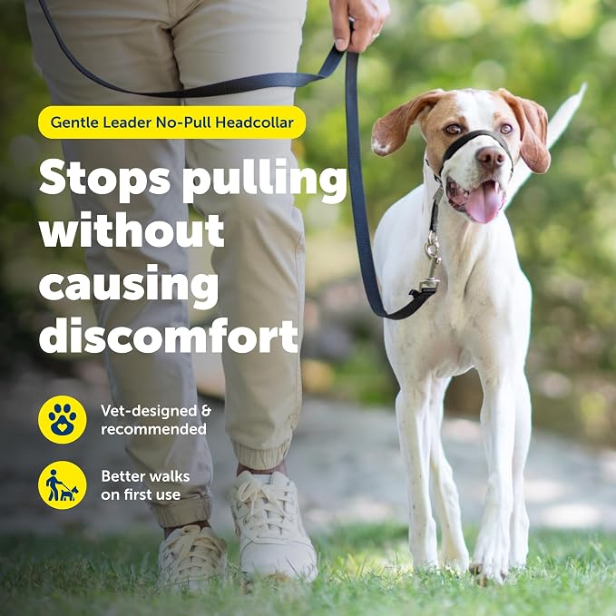 PetSafe Gentle Leader No Pull Dog Headcollar, Black, Medium | Veterinary Behaviorist-Designed No-Pull Headcollar Redirects Pulling Instinct, Padded Neoprene Nose Loop, Quick-Snap Fit - Image 2