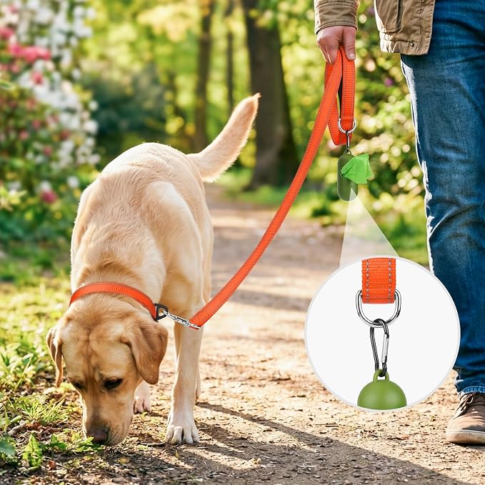 Joytale Reflective Dog Leash for Medium & Large Dogs, 5 FT x 1", Orange | Heavy Duty Nylon Webbing, Padded Handle for Comfort, Visible at Night, for Walking & Training - Image 2