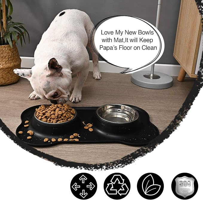 Dog Bowls 2 Stainless Steel Bowl for Pet Water and Food Feeder with Non Spill Skid Resistant Silicone Mat for Pets Puppy Small Medium Cats Dogs - Image 6