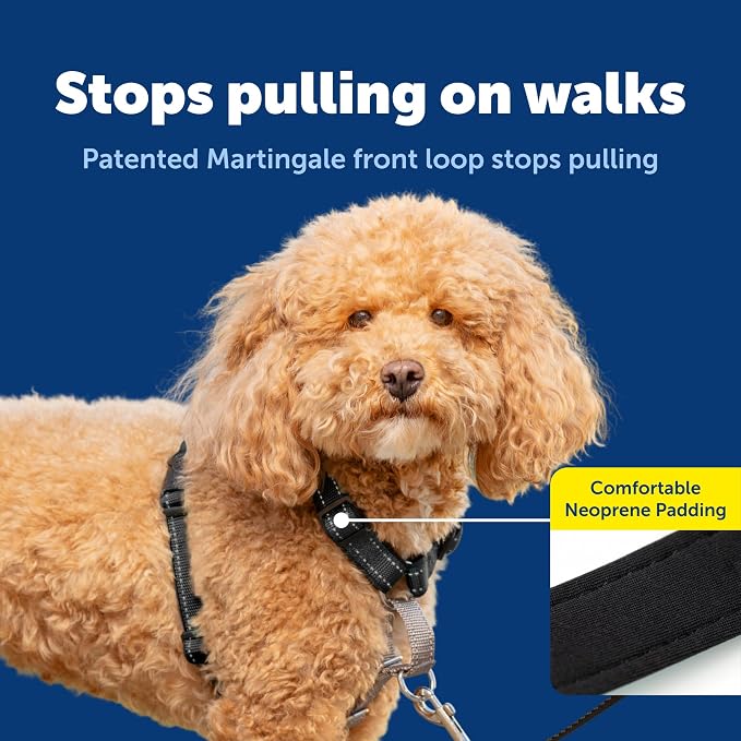 PetSafe 3 in 1 No-Pull Dog Harness - Walk, Train or Travel - Helps Prevent Pets from Pulling on Walks - Seatbelt Loop Doubles as Quick Access Handle - Reflective Accents - Small, Black | Rests on Chest Not Throat to Reduce Pulling, 5 Adjustment Points,... - Image 3