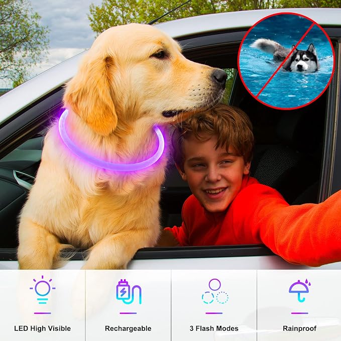 Light Up Dog Collar, USB Rechargeable, LED, Purple | Cuttable TPU, Waterproof, Night Walking, Night Safety, Glow in the Dark, Small Medium Large Dogs, Camping, Outdoor - Image 3