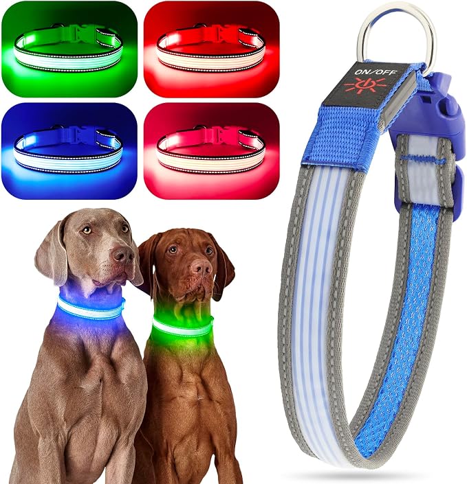 LED Dog Collar, Dog Light Up Collar,for Night Walking (Small, Blue-2) | Full Adjustable,Waterproof,Nylon,Soft,Super Bright Light Collars for Small Medium and Large Dogs,USB C to Charge - Image 2