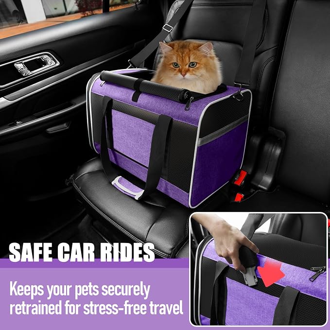 GAPZER Large Cat Carrier Soft, Collapsible Travel Pet Carry Bag, Small Dogs | Large Cats up to 20 lbs+ Maine Coon, Top Load Transport Small Puppy Dog Crate, Chihuahua Mini Dog 10lbs, Sturdy Fabric Pueple - Image 6