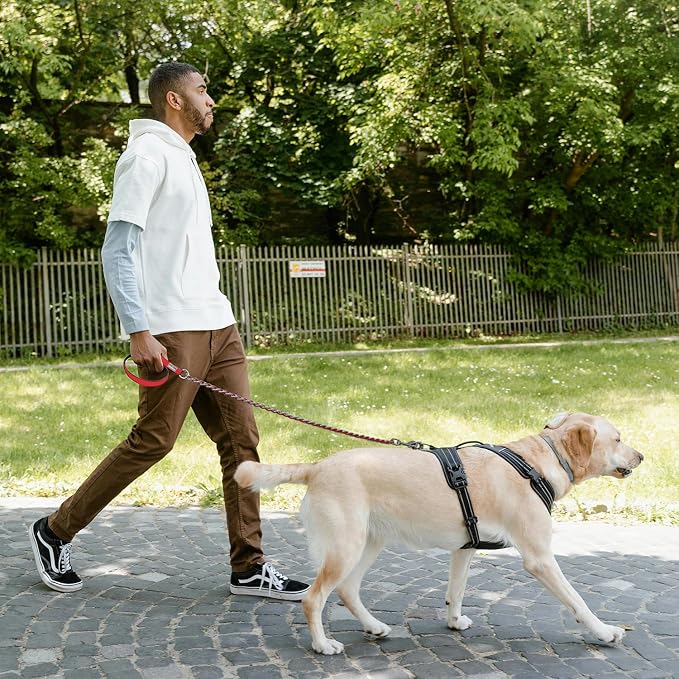 S-ETOVUS-Chain Dog Leash, Bite-Proof Metal Leash, with Padded Handle | Three Sizes 7.25FT/5.2FT/4FT, Woven From Nylon Rope And Chain, Durable And Bite-Resistant, Comfortable With Padded Handles - Image 6