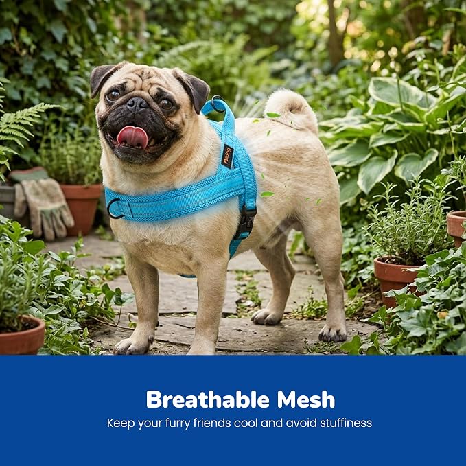 No Pull Dog Harness for Small Dogs, Breathable Mesh Padded, Blue, S | Quick Fit, Easy On and Off, Lightweight, Reflective Vest Harness for Night Safty, Easy for Walking and Training, Chest 18-22" - Image 2