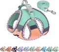 Dog Harness Small Sized and Leash Set, Turquoise-Pink XXXS | No Pull Step-in Vest, Lightweight Mesh, Reflective Design with High-Stick Magic Tape, Outdoor Use for Chihuahua, Maltese by AIITLE-FORPETSBETTERLIFE