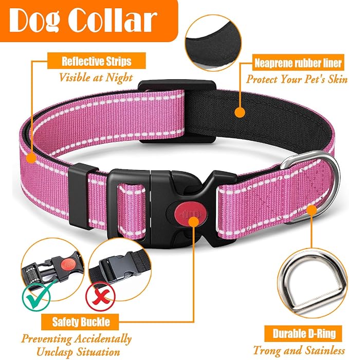 LOBEVE No Pull Dog Harness, Collar & Leash Set with Travel Accessories | Includes Dog Seat Belt, Collapsible Bowls & Poop Bag Dispenser. Ideal for Training, Walking, Hiking. Fits Small to Large Dogs - Image 6