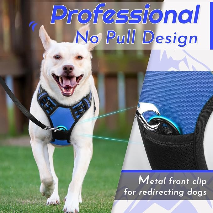 Eagloo Dog Harness for Small Dogs, No Pull Pet Vest with 2 Leash Clips | No Choke with Handle, Adjustable Comfort Fit, Reflective Strips, Easy Walking Control, Blue, Small - Image 3